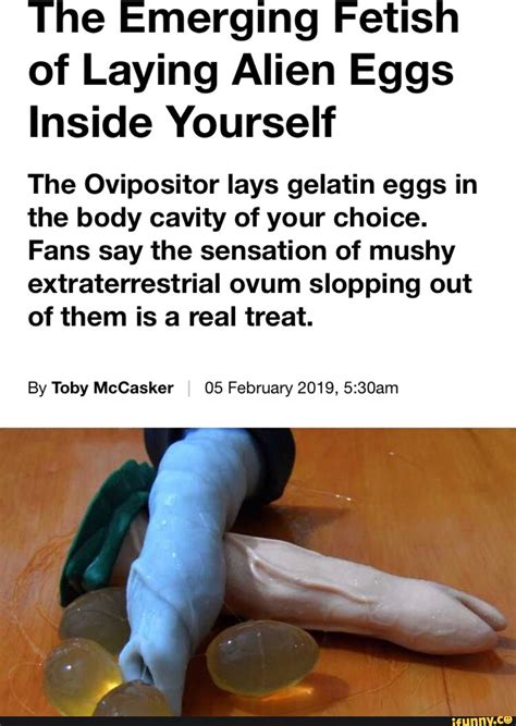 egg laying porn|Oviposition: Laying Eggs .